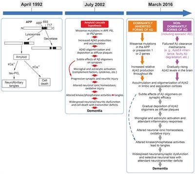 In 2024, the amyloid-cascade-hypothesis still remains a working hypothesis, no less but certainly no more